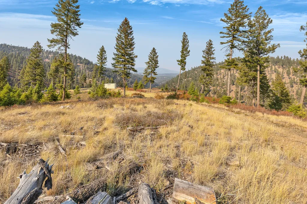 6300 Camas Creek Road Potomac MT 59823