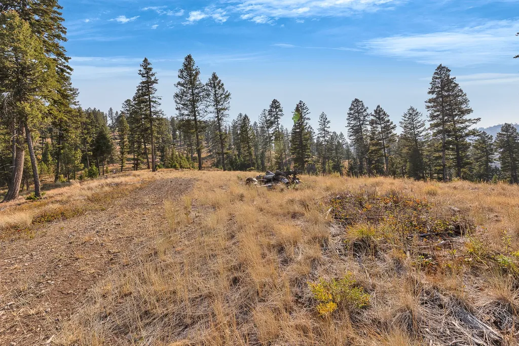 6300 Camas Creek Road Potomac MT 59823