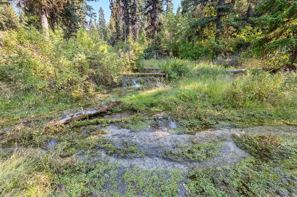 6300 Camas Creek Road Potomac MT 59823