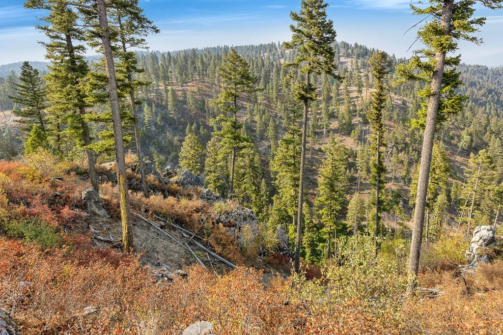 6300 Camas Creek Road Potomac MT 59823