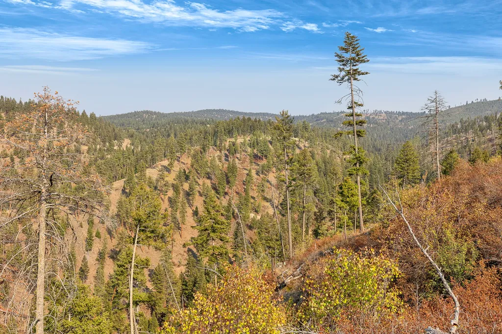 6300 Camas Creek Road Potomac MT 59823