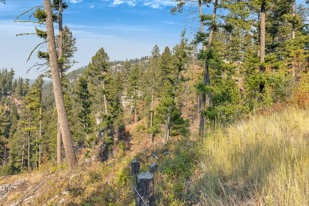 6300 Camas Creek Road Potomac MT 59823