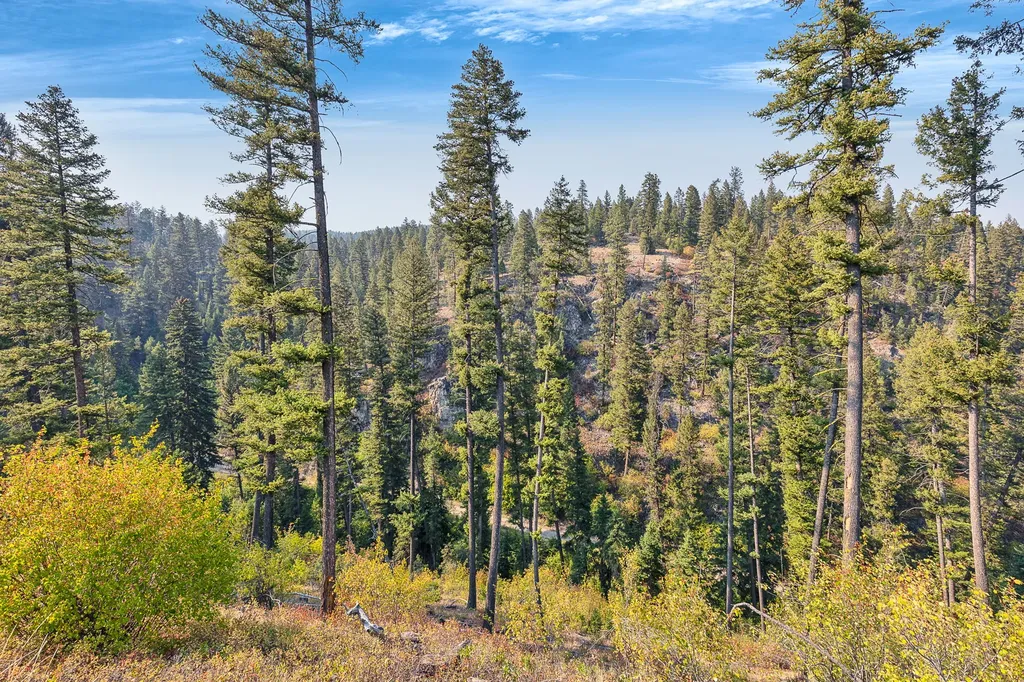 6300 Camas Creek Road Potomac MT 59823