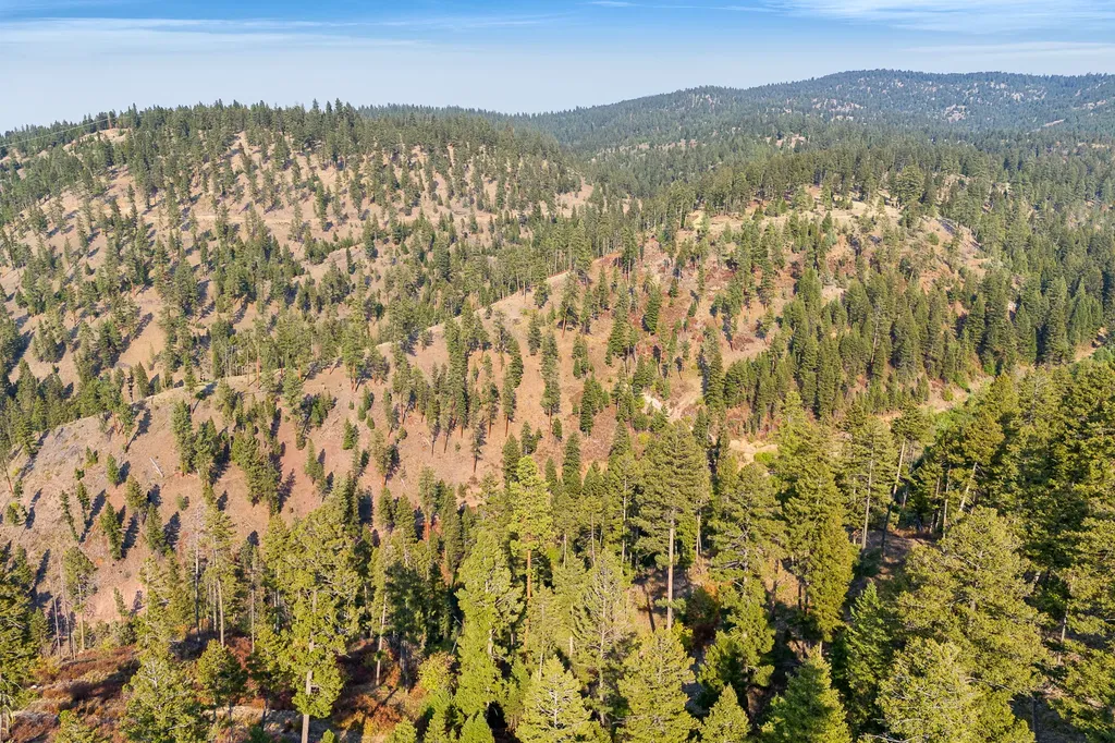 6300 Camas Creek Road Potomac MT 59823