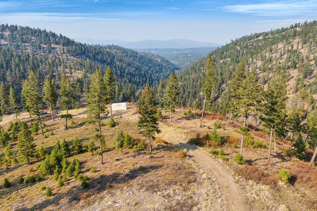 6300 Camas Creek Road Potomac MT 59823
