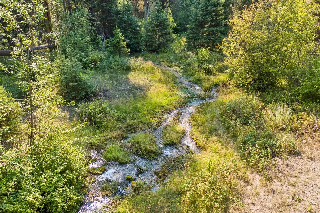 6300 Camas Creek Road Potomac MT 59823