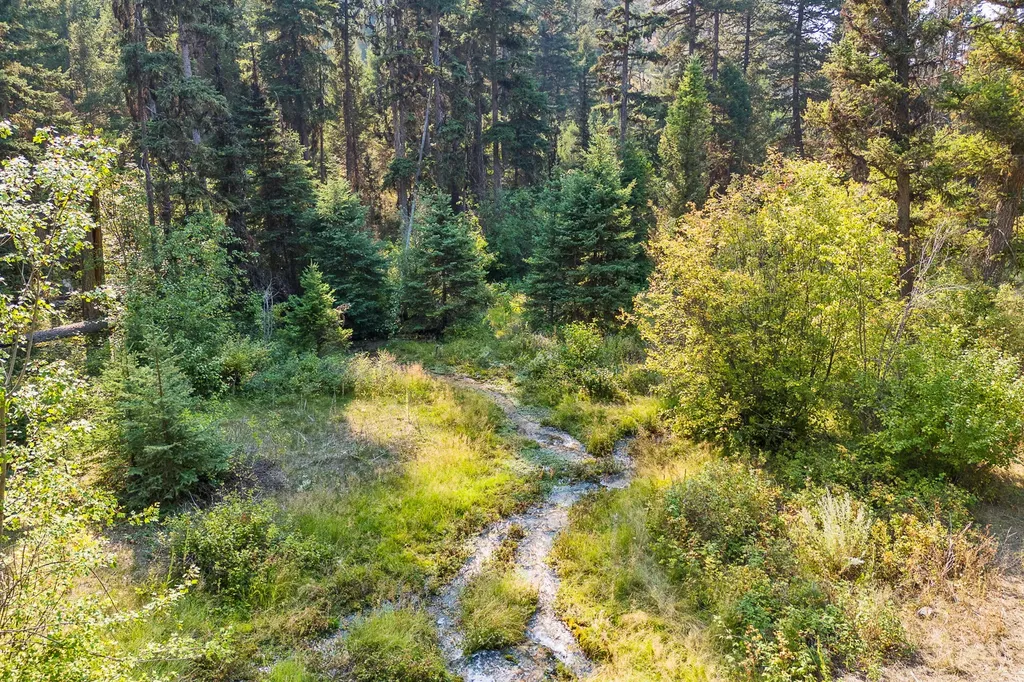 6300 Camas Creek Road Potomac MT 59823