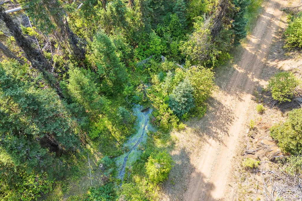 6300 Camas Creek Road Potomac MT 59823
