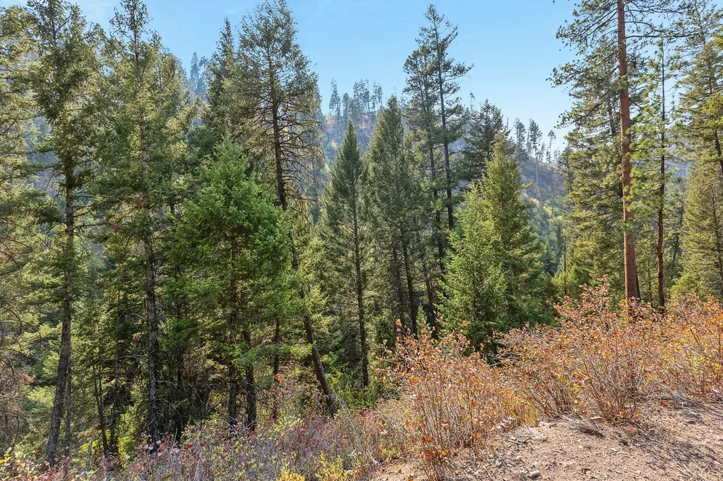 6300 Camas Creek Road Potomac MT 59823