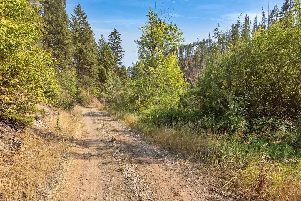 6300 Camas Creek Road Potomac MT 59823
