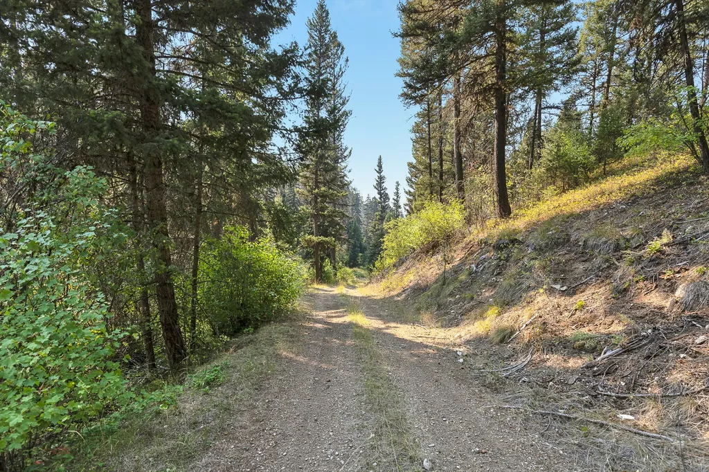 6300 Camas Creek Road Potomac MT 59823