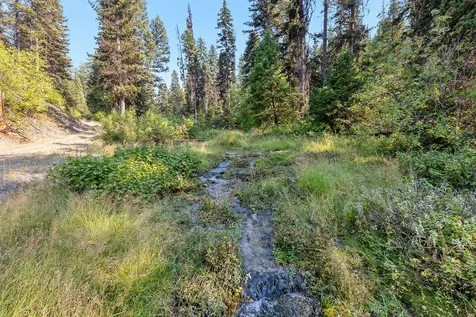 6300 Camas Creek Road Potomac MT 59823