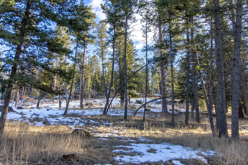 115 Shawwood Lane Kalispell MT 59901