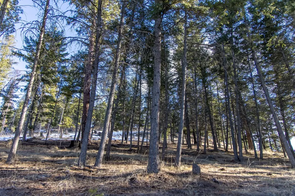 115 Shawwood Lane Kalispell MT 59901