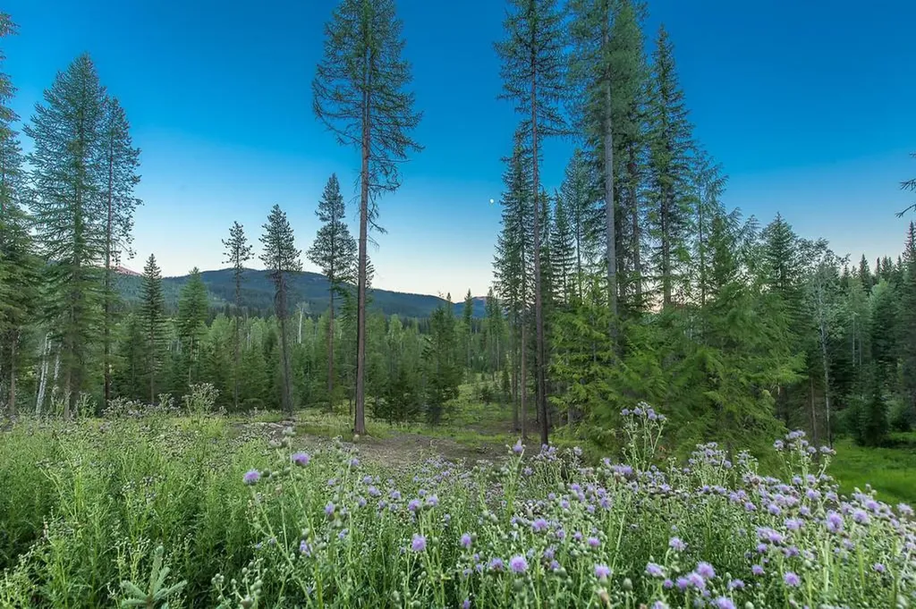 37258 Yaak River Road Yaak MT 59935