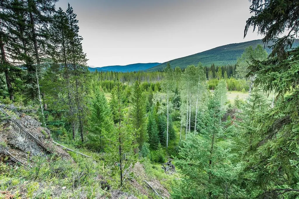37258 Yaak River Road Yaak MT 59935