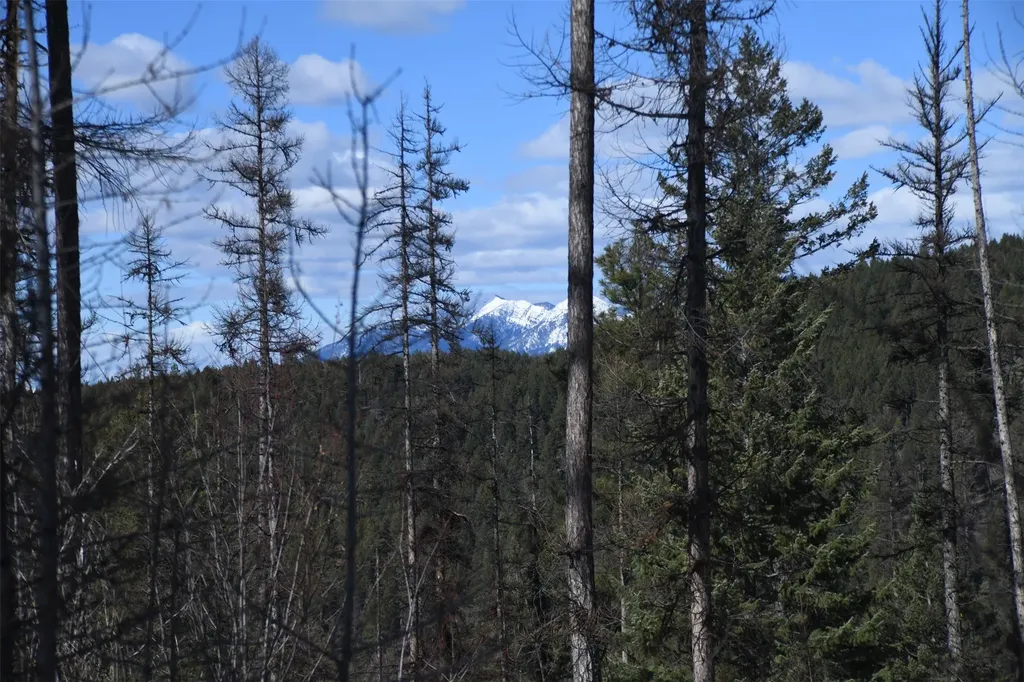 205 Timberjack Trail Bigfork MT 59911
