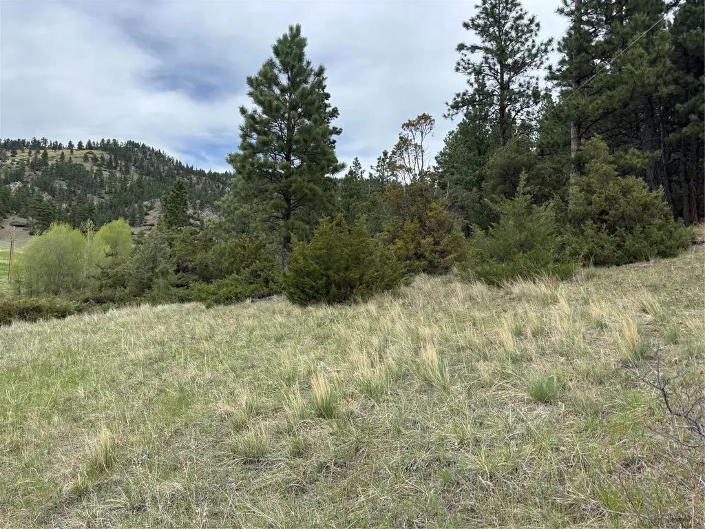 Tbd Beartooth Road Wolf Creek MT 59648