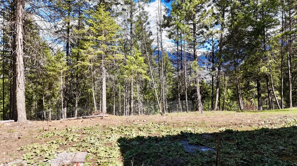 421 Cherry Creek Road Thompson Falls MT 59873