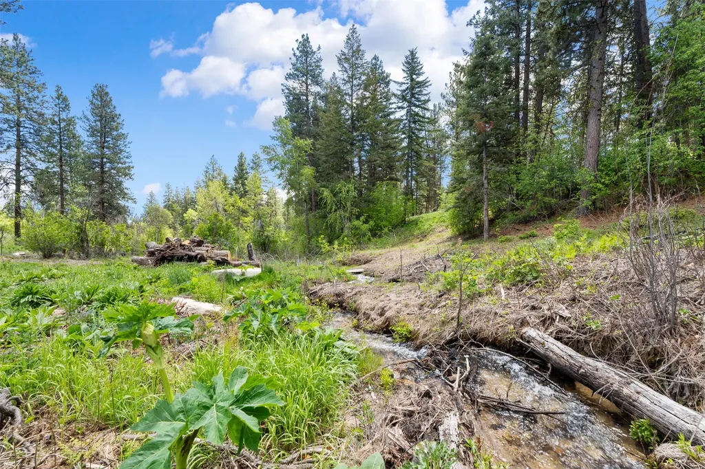 363 Owings Creek Road Hamilton MT 59840