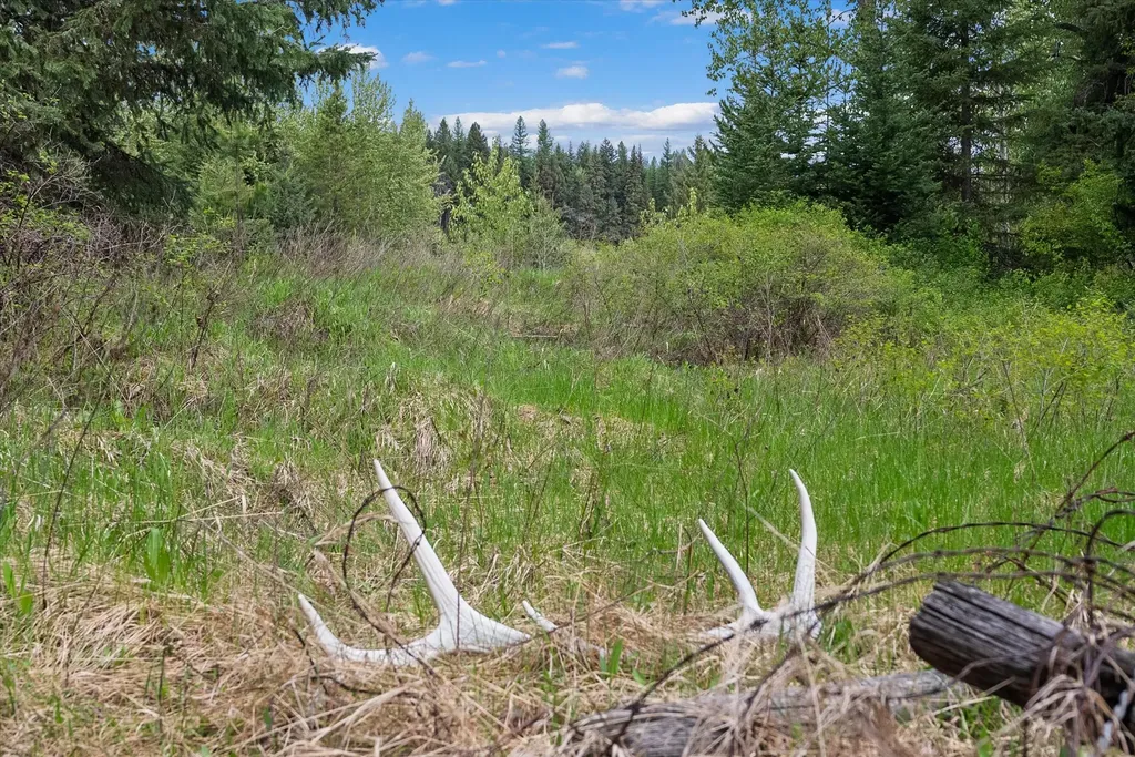 22585 Fatty Creek Road Bigfork MT 59911