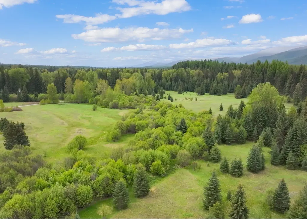 22585 Fatty Creek Road Bigfork MT 59911