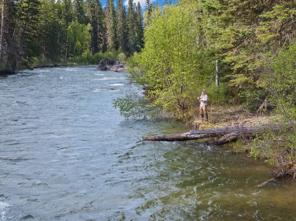 22585 Fatty Creek Road Bigfork MT 59911