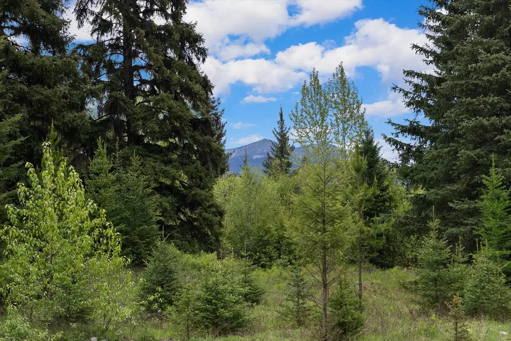 22585 Fatty Creek Road Bigfork MT 59911