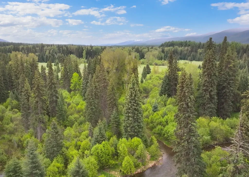 22585 Fatty Creek Road Bigfork MT 59911