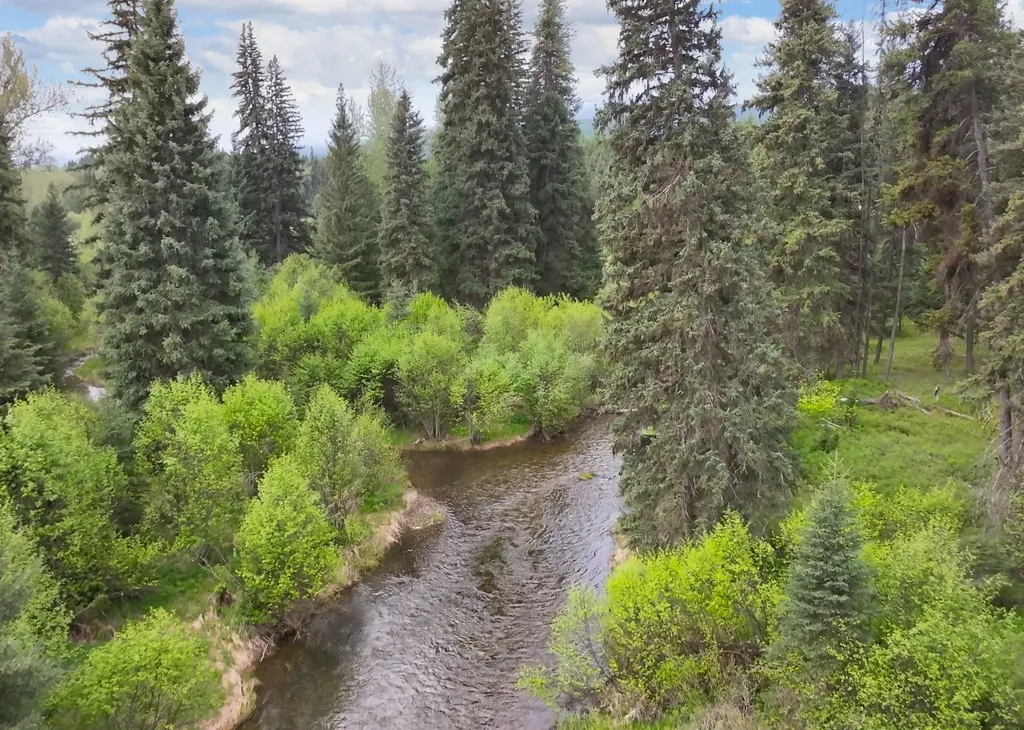 22585 Fatty Creek Road Bigfork MT 59911