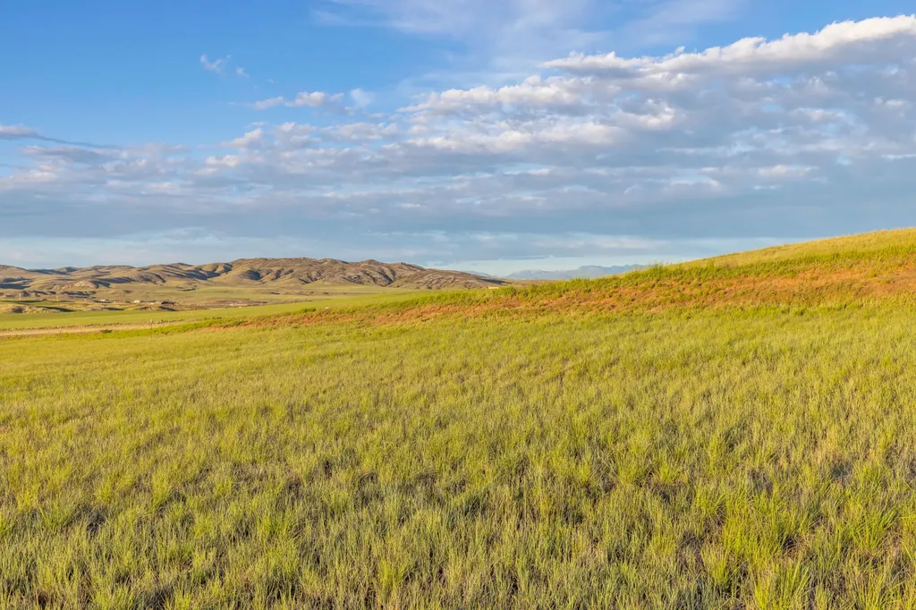 Tbd Amber Way Three Forks MT 59752