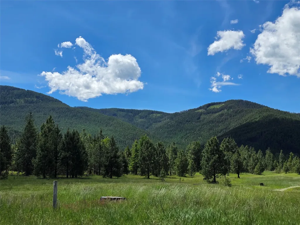164 S Hill Road Trout Creek MT 59874