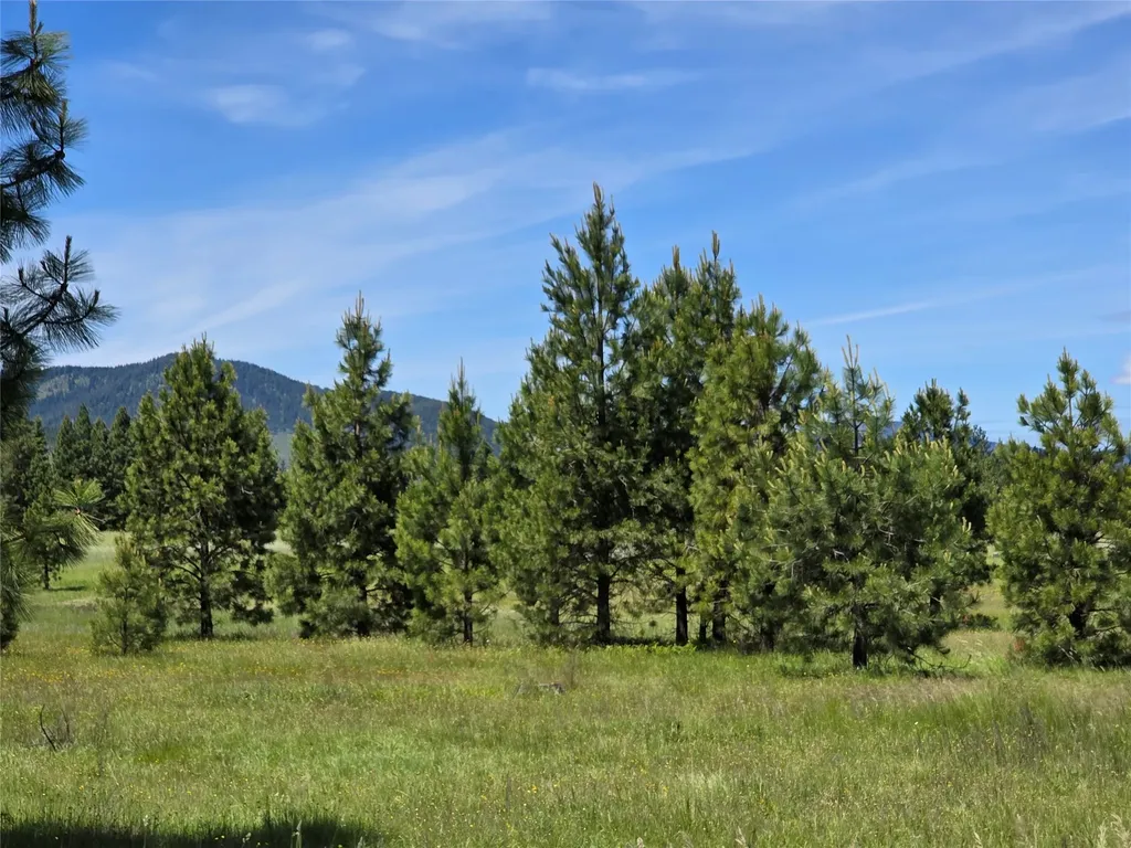 164 S Hill Road Trout Creek MT 59874