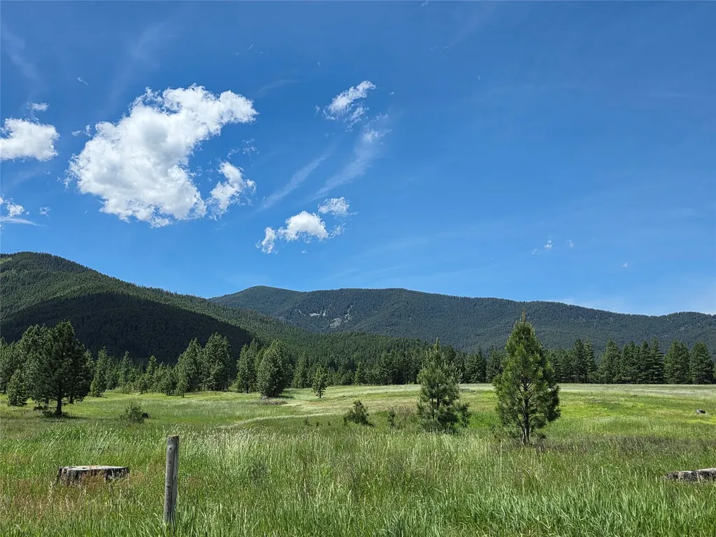 164 S Hill Road Trout Creek MT 59874