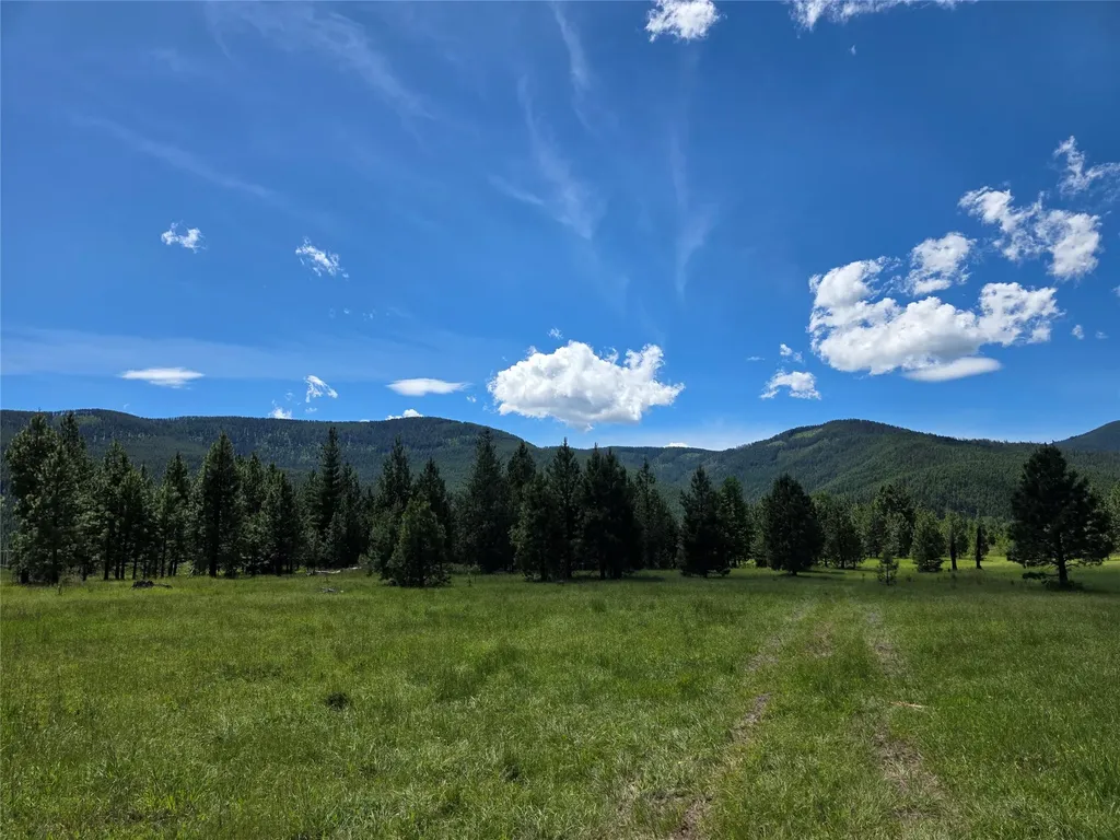 164 S Hill Road Trout Creek MT 59874
