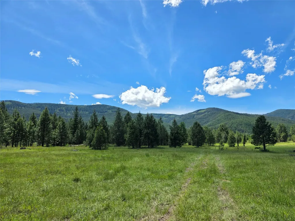 164 S Hill Road Trout Creek MT 59874