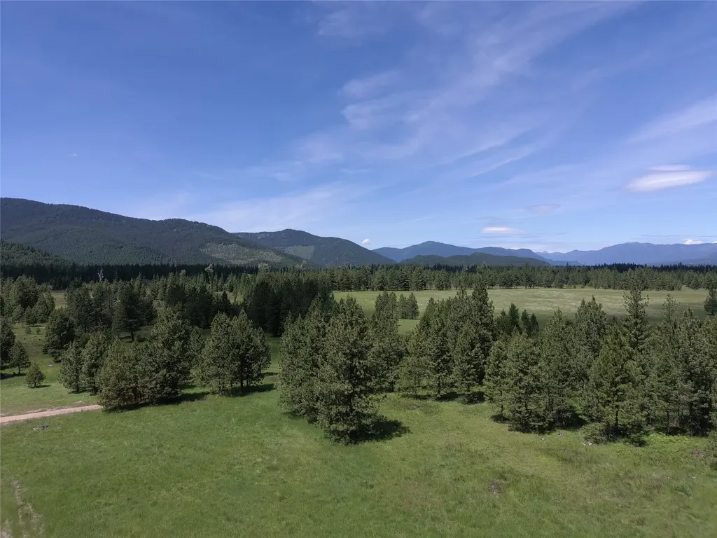 164 S Hill Road Trout Creek MT 59874