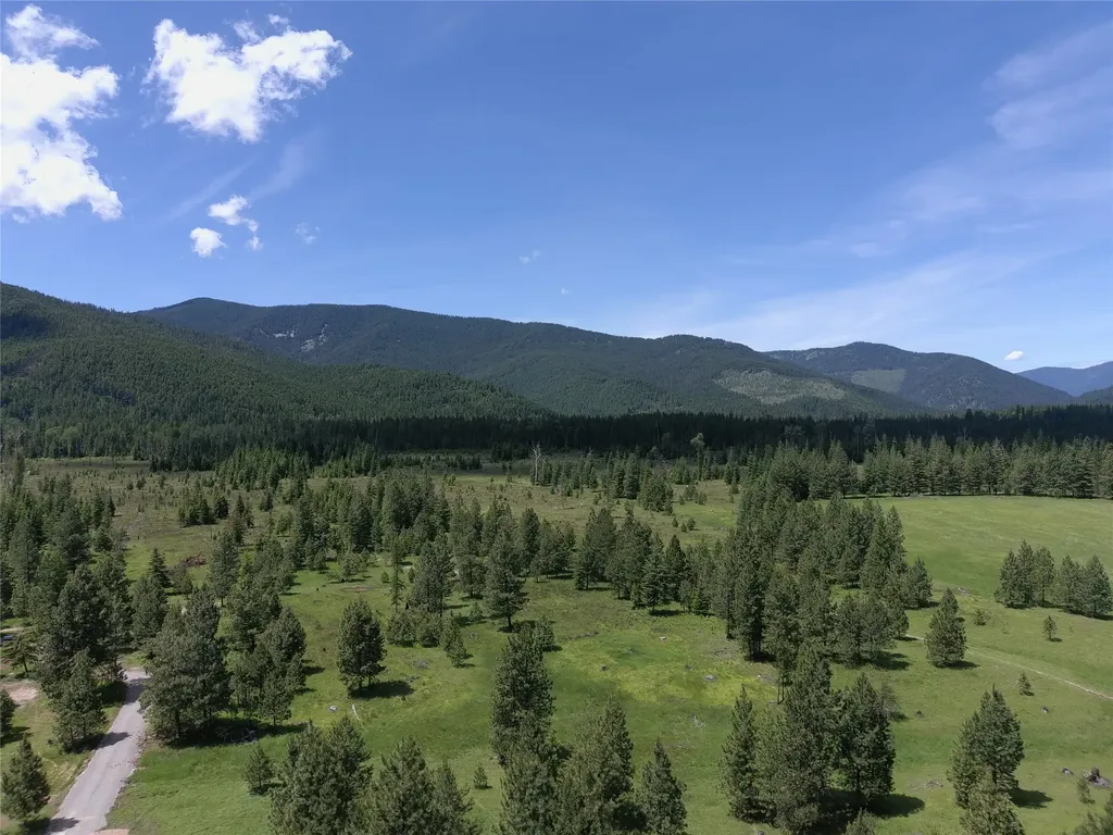 164 S Hill Road Trout Creek MT 59874