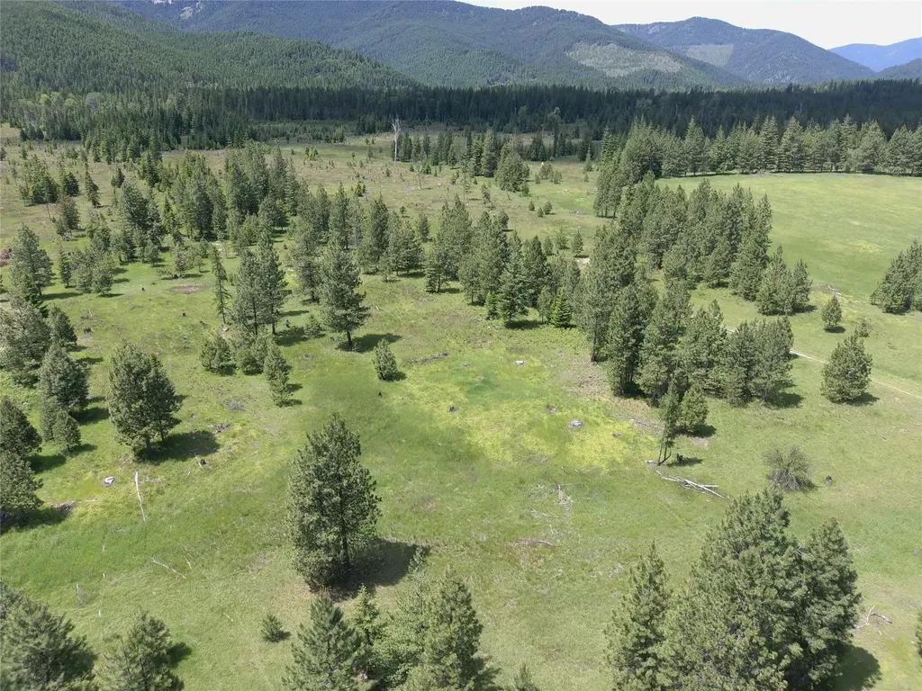 164 S Hill Road Trout Creek MT 59874