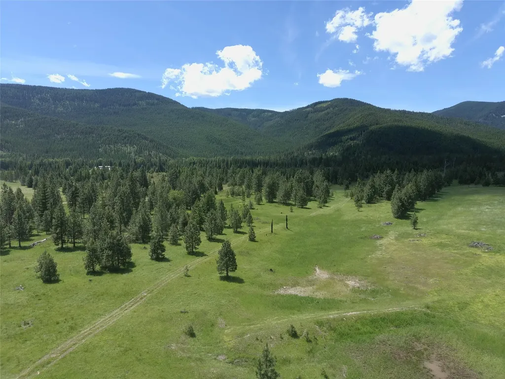 164 S Hill Road Trout Creek MT 59874