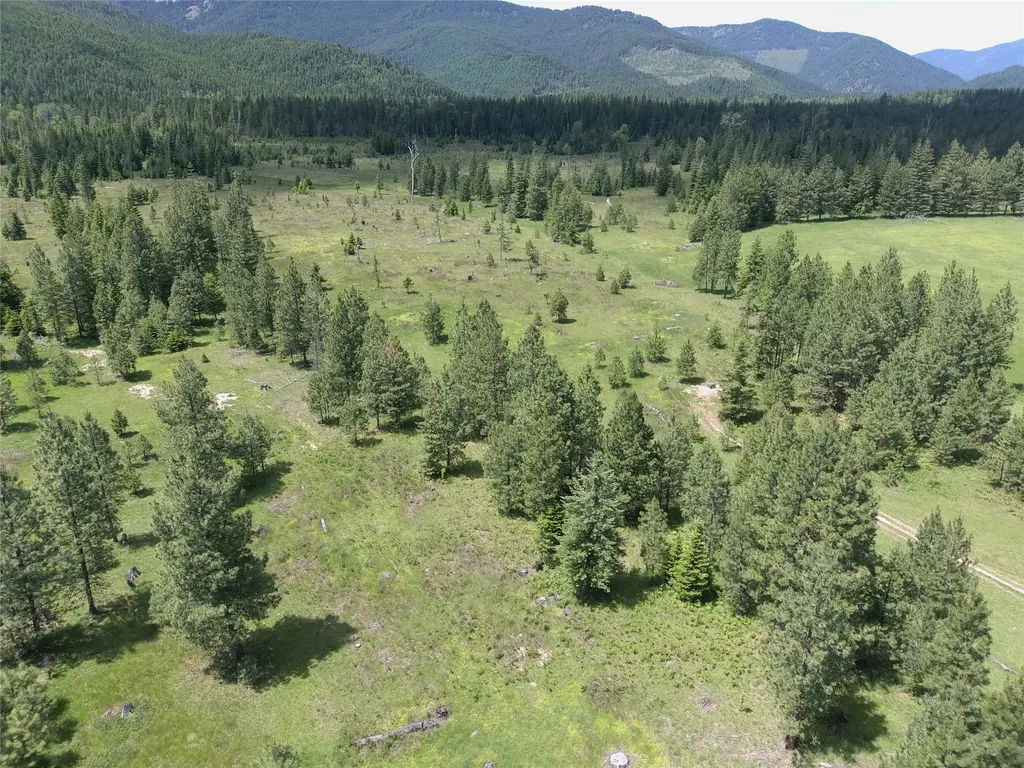 164 S Hill Road Trout Creek MT 59874
