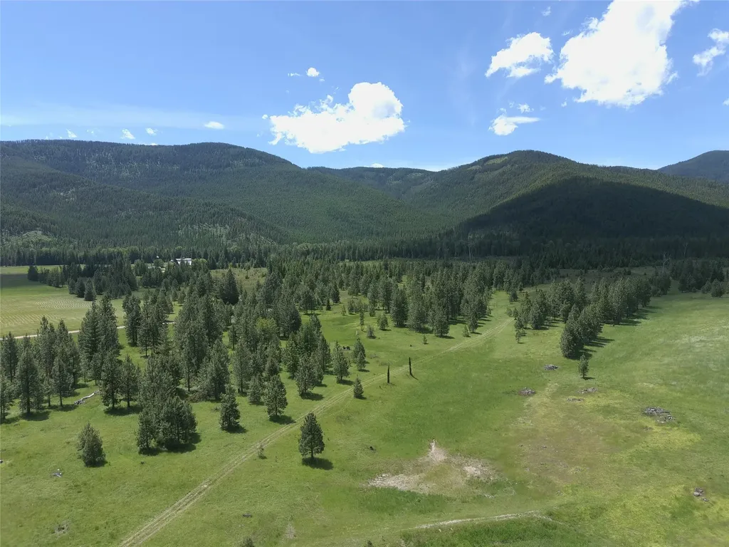 164 S Hill Road Trout Creek MT 59874