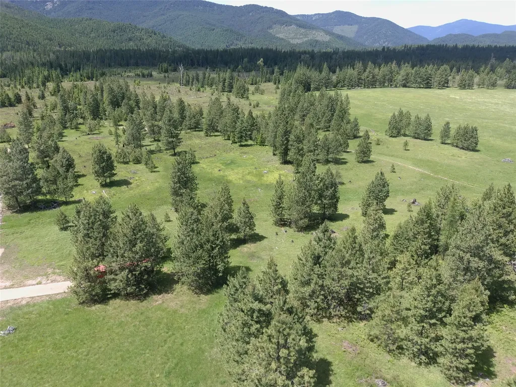 164 S Hill Road Trout Creek MT 59874