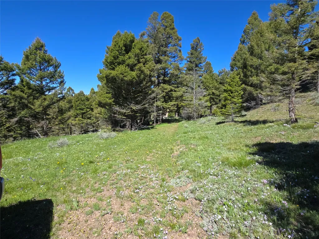 Lot 26 Westridge Road Helmville MT 59843
