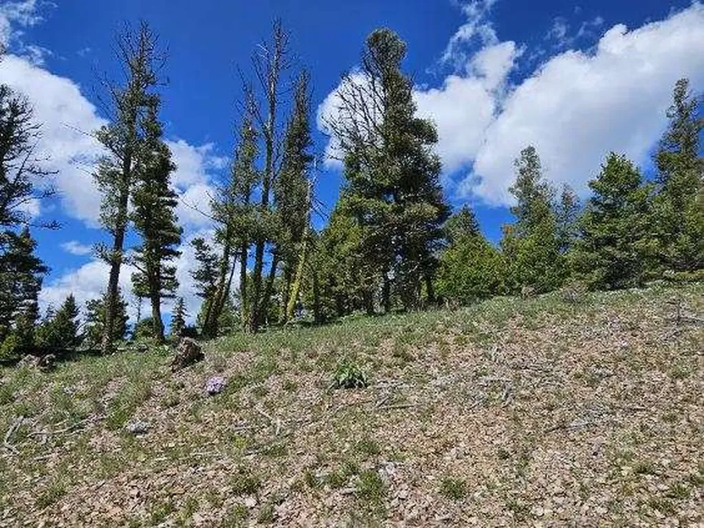 Lot 26 Westridge Road Helmville MT 59843