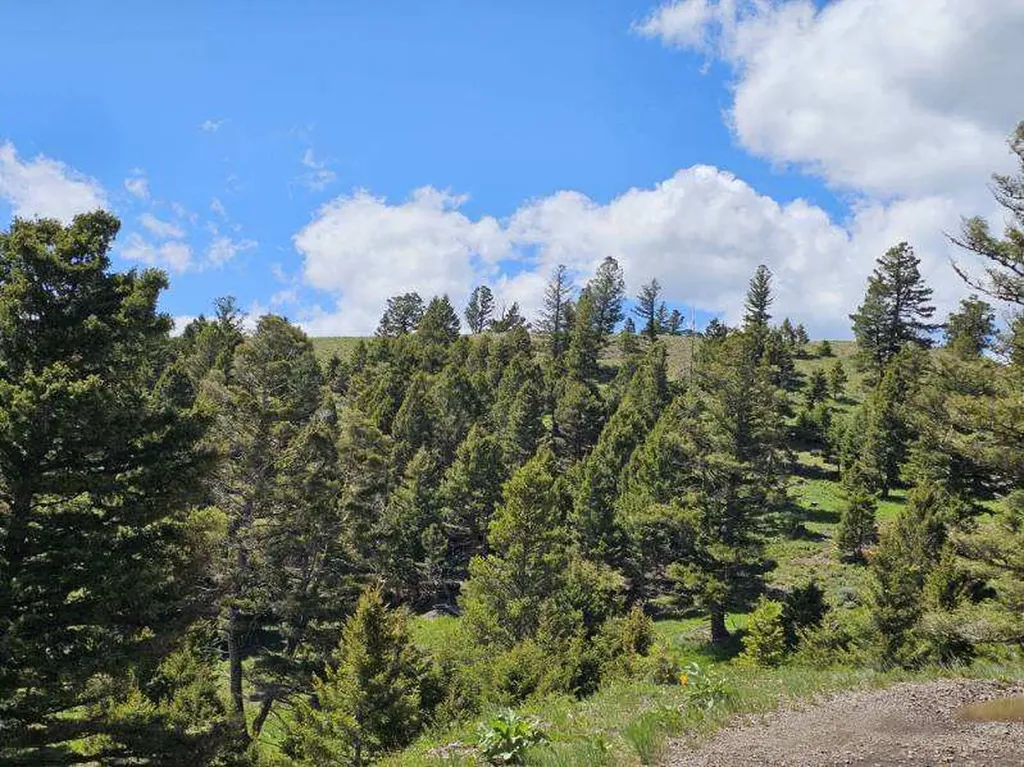 Lot 26 Westridge Road Helmville MT 59843