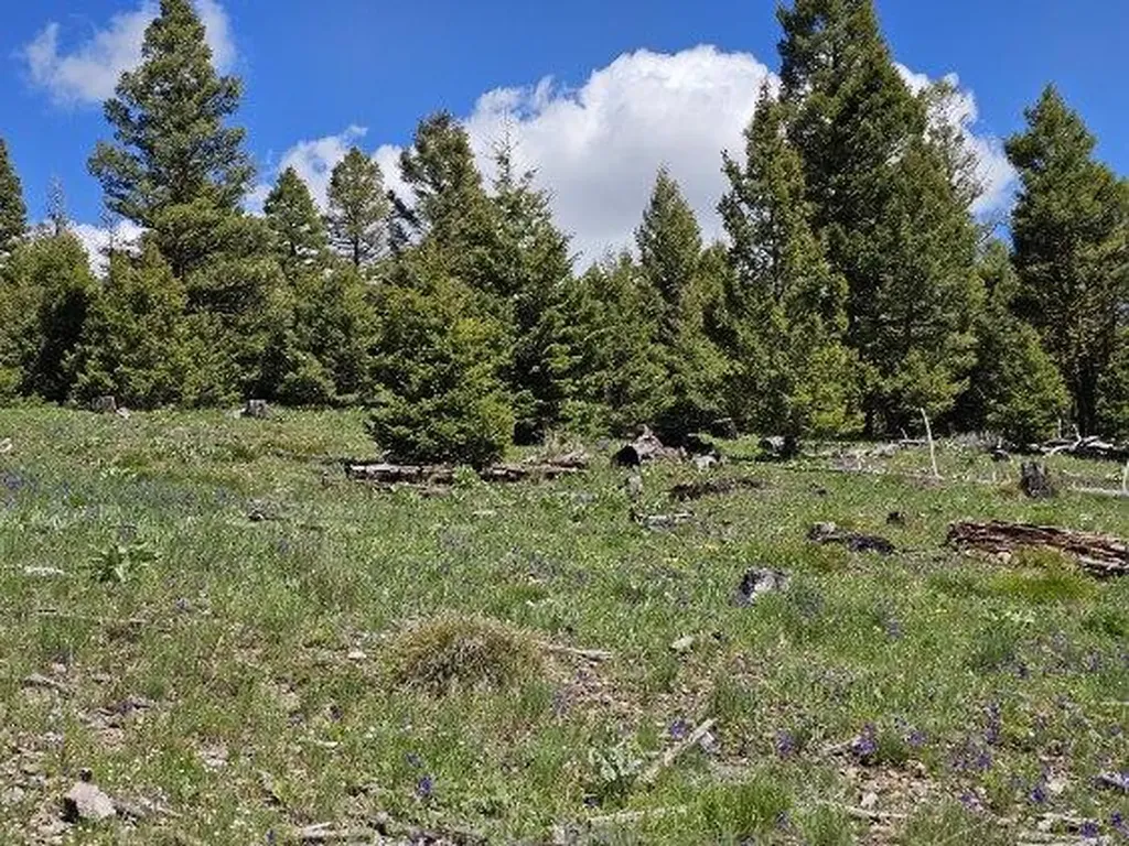 Lot 26 Westridge Road Helmville MT 59843