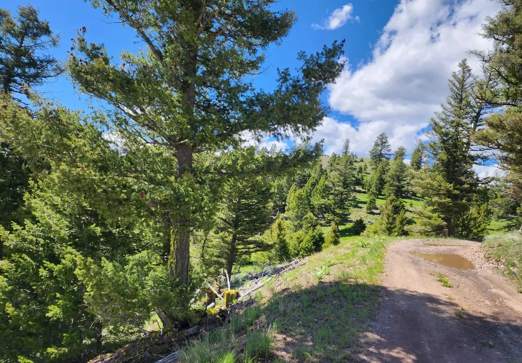 Lot 26 Westridge Road Helmville MT 59843
