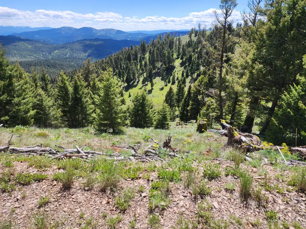 Lot 26 Westridge Road Helmville MT 59843