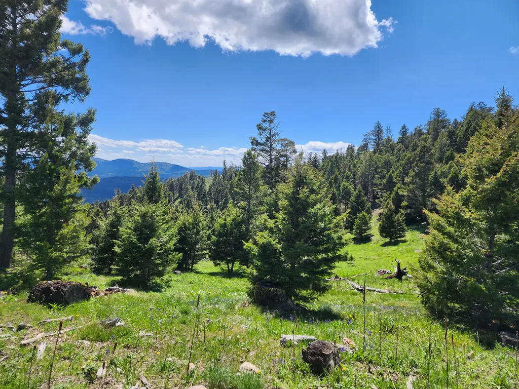 Lot 26 Westridge Road Helmville MT 59843